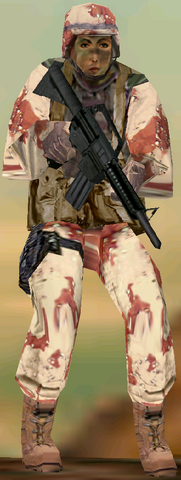 File:Desert Medium.png