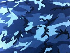 Navy camo