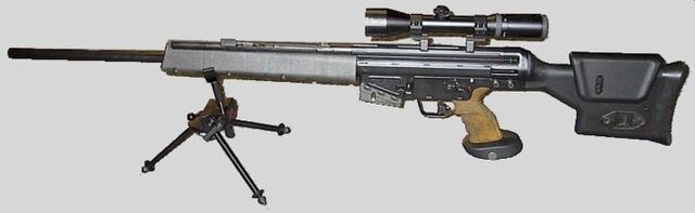 File:Hk psg1.jpg