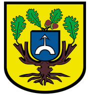 Herb Dopiewo