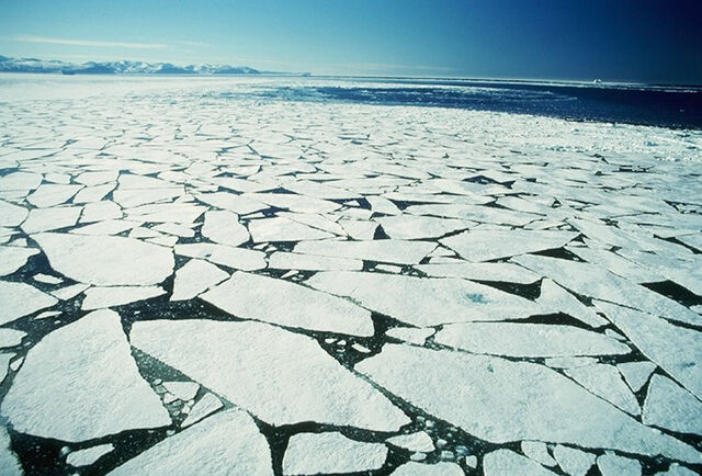 File:Seaice 01 hr.jpg