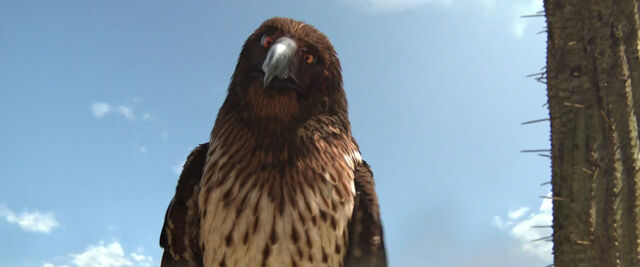 File:Rango-disneyscreencaps com-1465.jpg