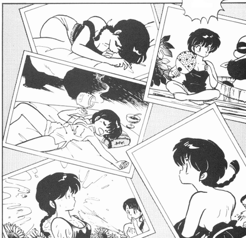File:Ranma pictures.png