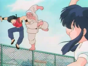 Genma golpea a Ranma por insultar a Akane
