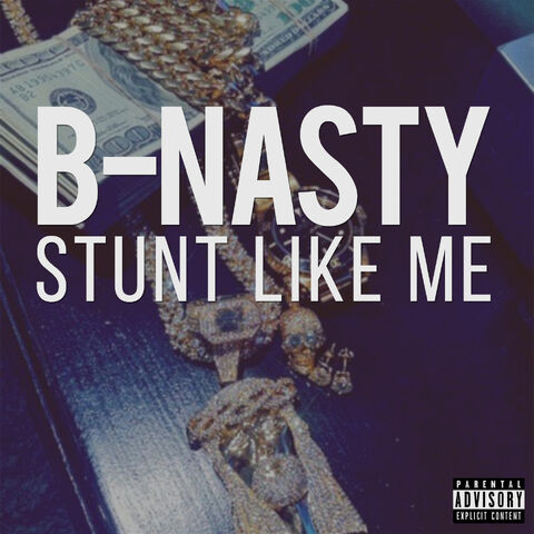File:Stunt Like Me.jpg
