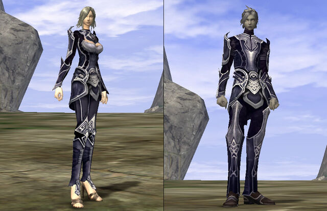 File:Demonhide Coat.jpg