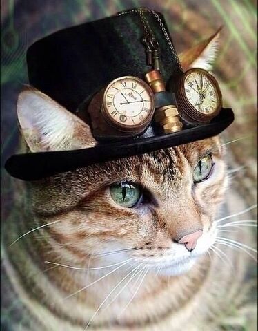 File:Steampunkkitty.jpg