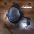 Robot Tesla.jpg