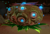Hydroplante remplie