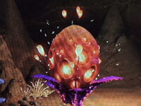 Nectar de Breegus.jpg