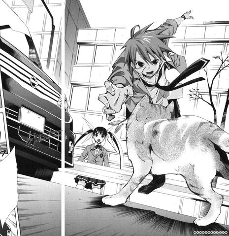 File:Shuto saved a cat.jpg