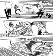 Sleep Walking Fist