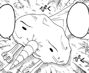 Plue is shriveled