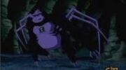 USpidermonkey4