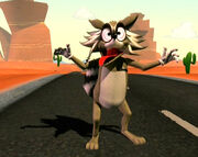 Rockyraccoon1