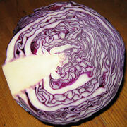 Rodekool1