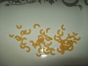 Macaroni.jpg