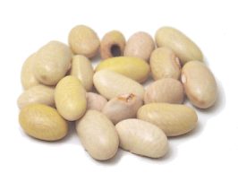 Maicoba bean