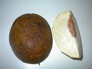 Roast Breadfruit