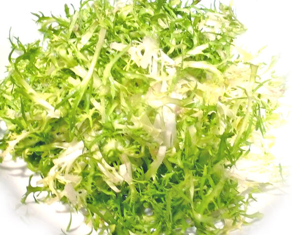 File:05-frisee-lettuce.jpg
