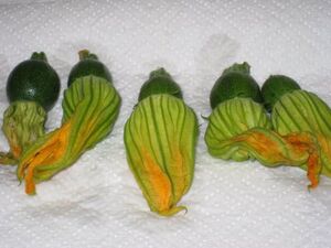 Zucchini blossoms