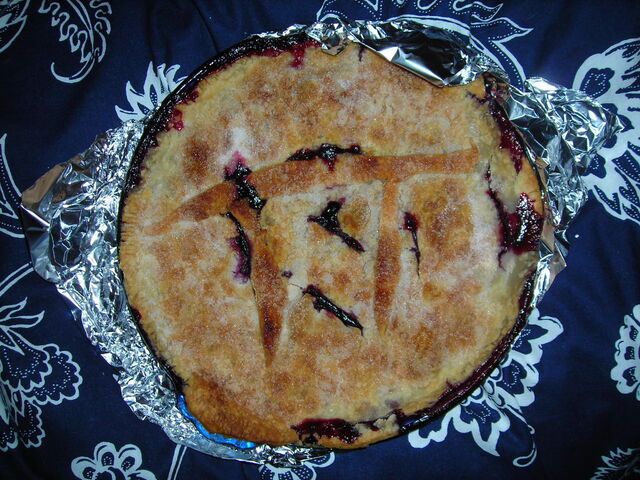 File:Blueberry+Pie-9128.jpg
