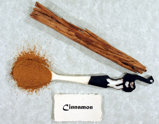 File:Cinnamon.jpg