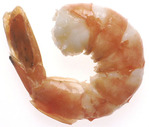 File:Ebi.jpg