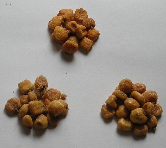 File:Cornnuts.jpg