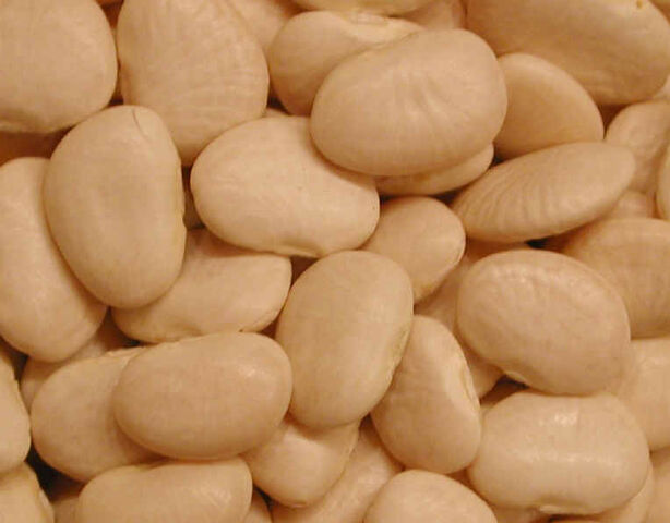 File:I-beans-lima-baby.jpg