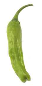 Shishito