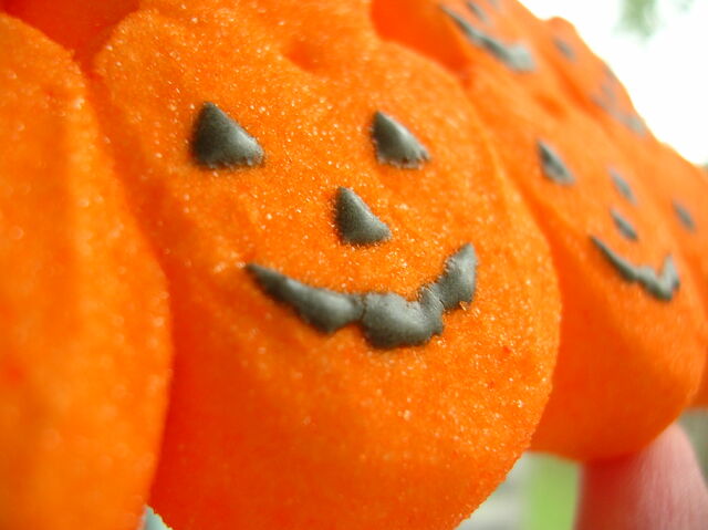 File:Spooky-sweet-739.jpg