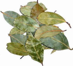 BayLeaf