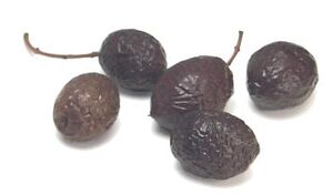 Nyons olives