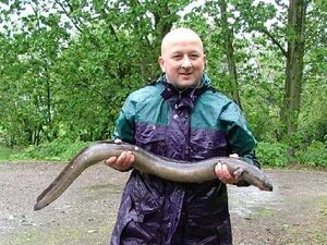Eel