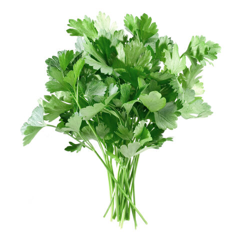 File:Parsley3.jpg