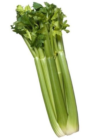 File:Celery big.jpg