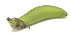 Green goddess eggplant