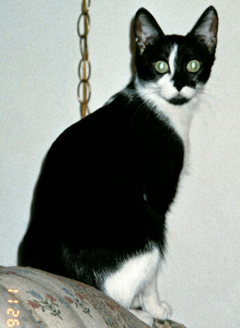 File:Winnie14.jpg