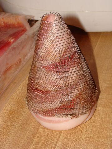 File:Bacone08.jpg