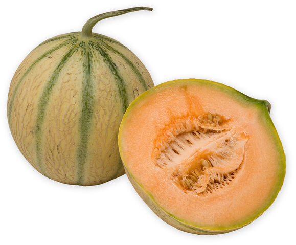 File:Charentais melon.jpg