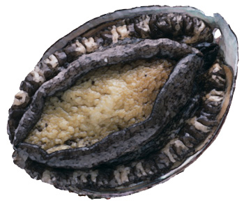 File:Awabi.jpg