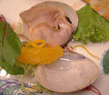 Thumbnail for version as of 14:35, May 12, 2005