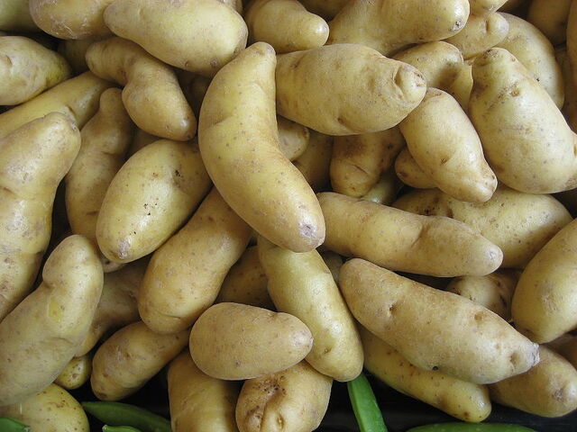 File:Fingerling potato.jpg