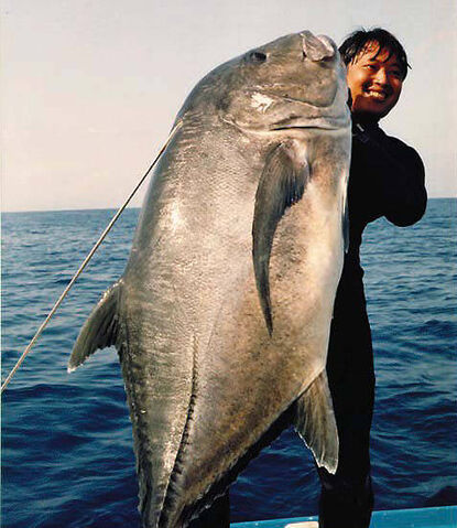 File:Ulua.jpg