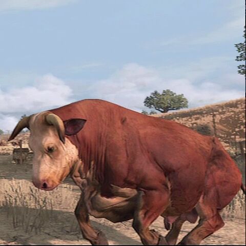 Файл:Bull-03.jpg