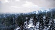 300px-Rdr tall trees00.jpg