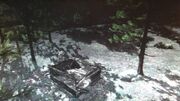 Bearclaw camp