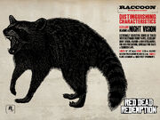 Raccoon