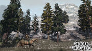 300px-Landscape nekoti.jpg